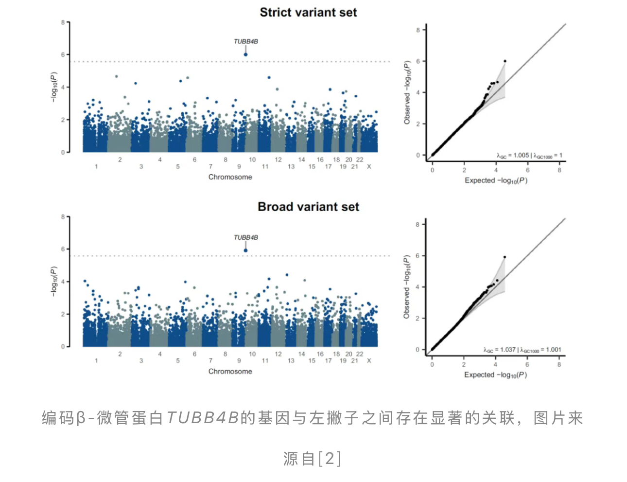 1747098053734895.jpg 1747098053734895.jpg