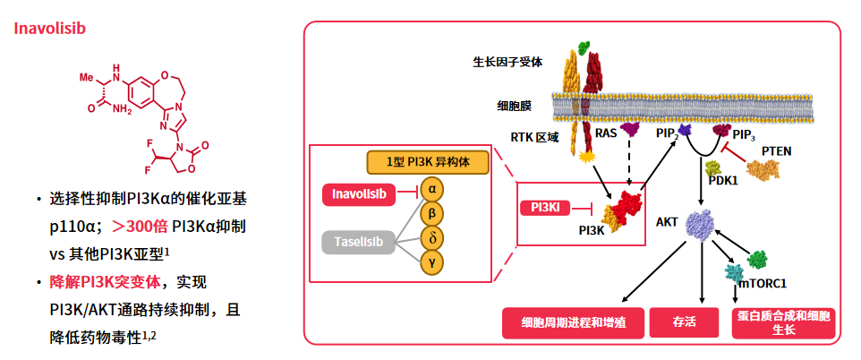 1747796316361315.png 4.png