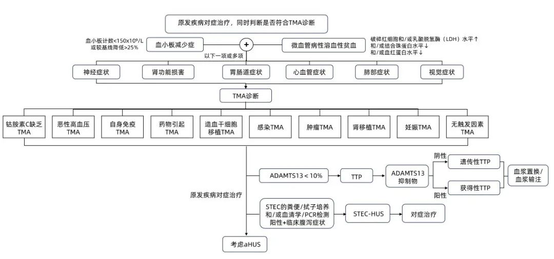 1748400068740803.jpg 640 (1).jpg