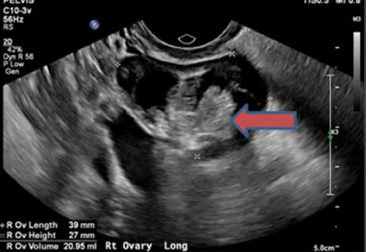 1748513166178258.png 微信图片_20250529180553.png