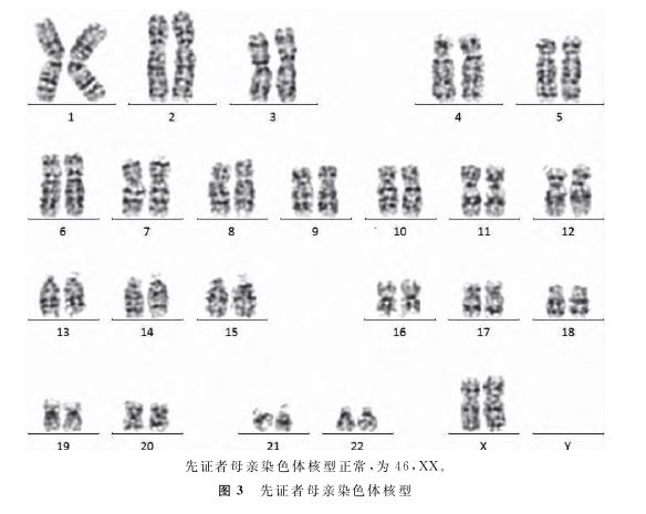 1748828361277030.jpg 1748828361277030.jpg