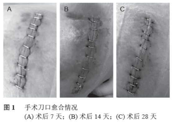 1749104493909511.png 1.png