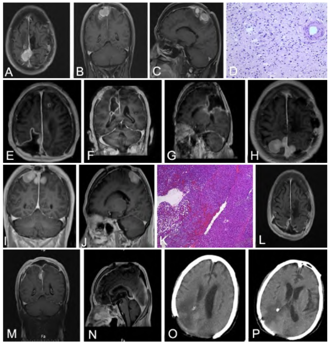 1749176869522718.png 1749176869522718.png