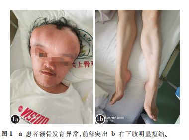 图1.png