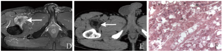 1750037126894935.png 1750037126894935.png