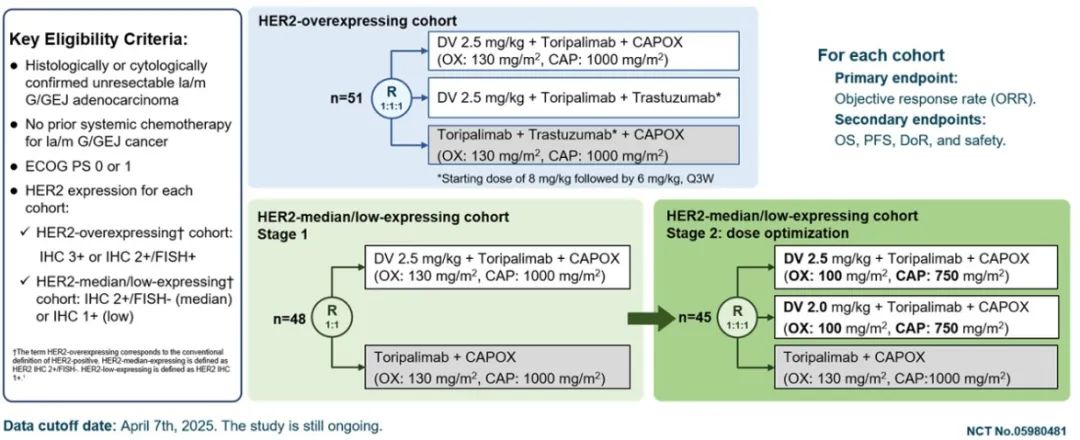 1750145637956603.jpg 5.jpg