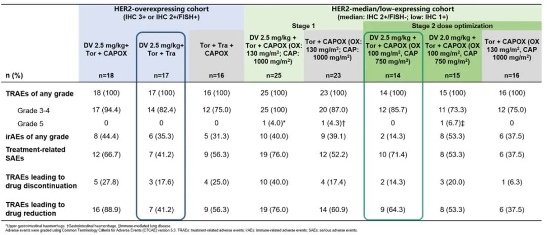 1750145689547316.jpg 11.jpg