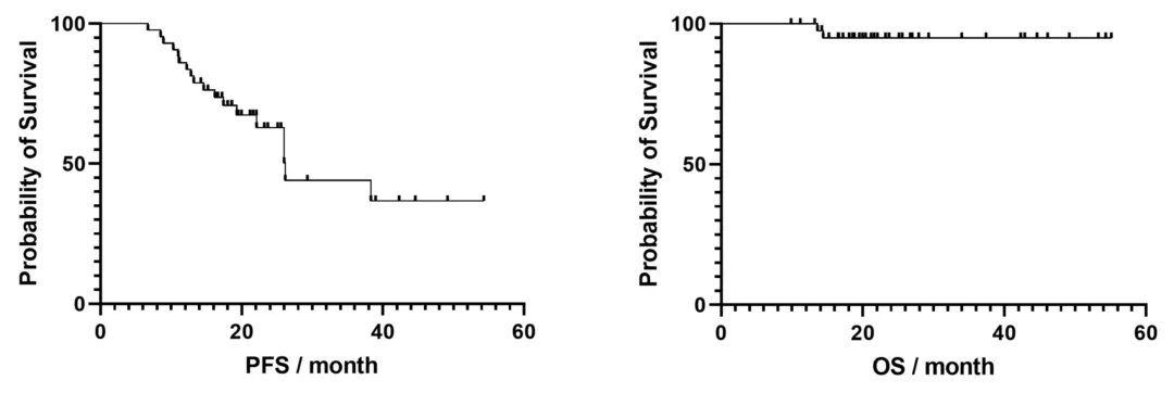 E6AED9ED-D74B-4c85-9F12-E97DEDA9E680.png