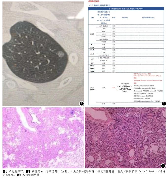 1750733555610577.jpg 1750733555610577.jpg