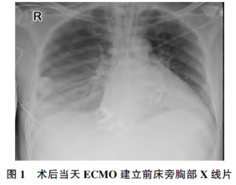 1750894411564579.png 1.png