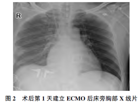 1750894421311950.png 2.png