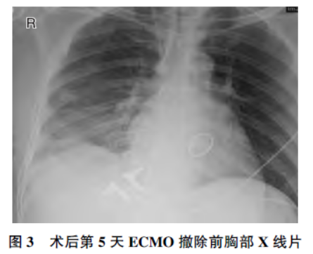 1750894429686568.png 3.png