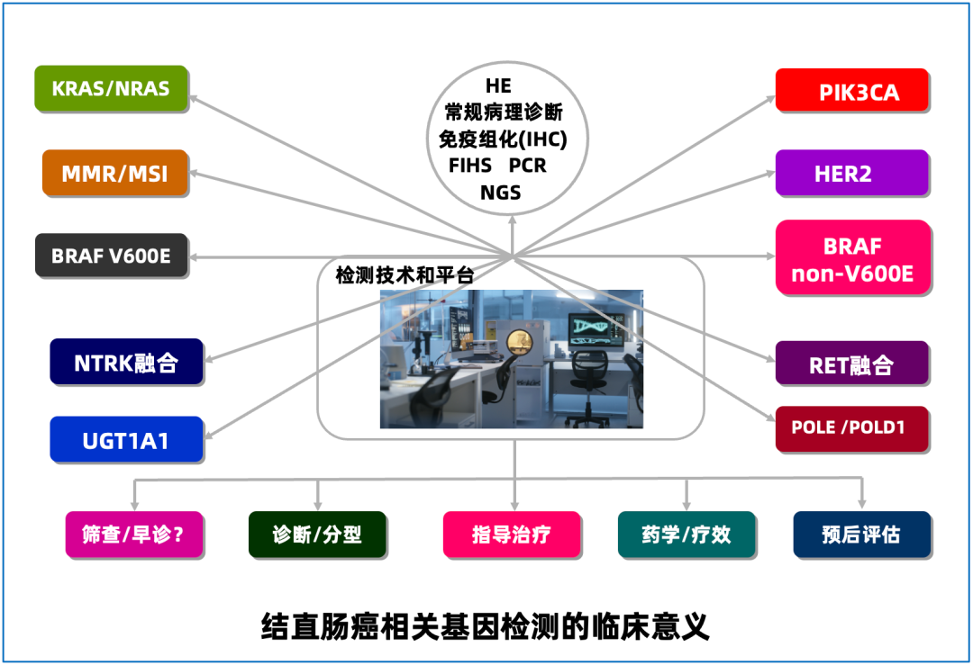 1751447449706291.png DM_20250702165909_004.png