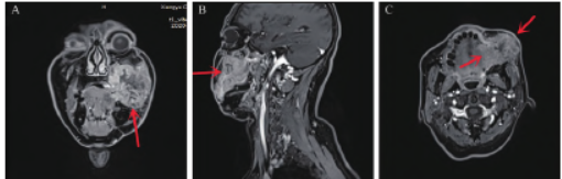 1751874213196243.png 2.png