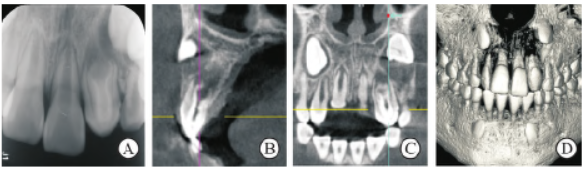 1751886875971514.png 2a.png