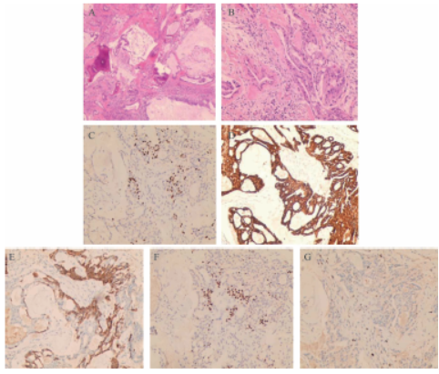 1752827884685648.png 3.png