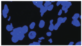 1752827895443164.png 4.png