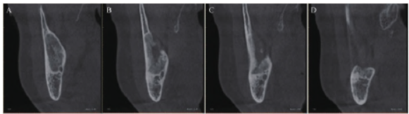 1752827910723215.png 6.png