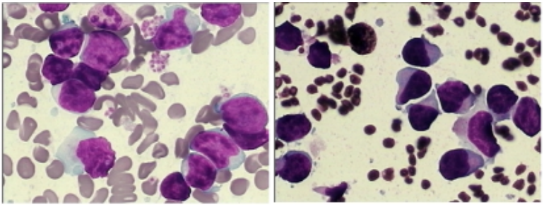 1753009607117498.png DM_20250720190213_002.PNG