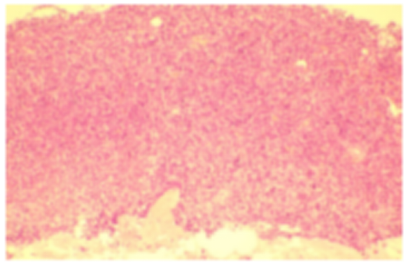 1753009676884804.png DM_20250720190213_004.PNG