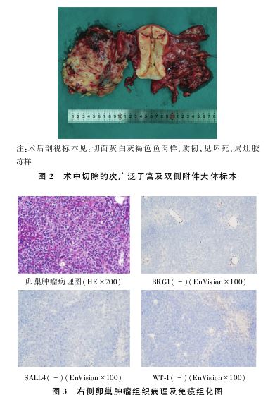 1753062347151160.jpg 1753062347151160.jpg