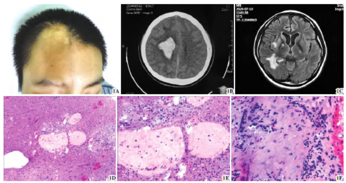 1754479180834553.png 1754479180834553.png