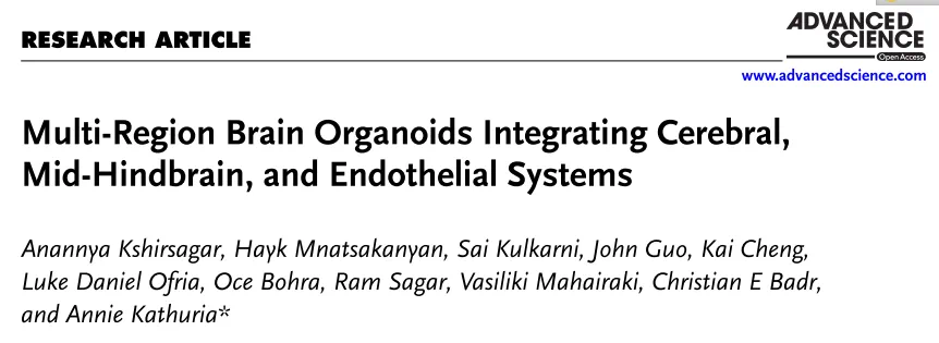 1754533733787345.png 1754533733787345.png