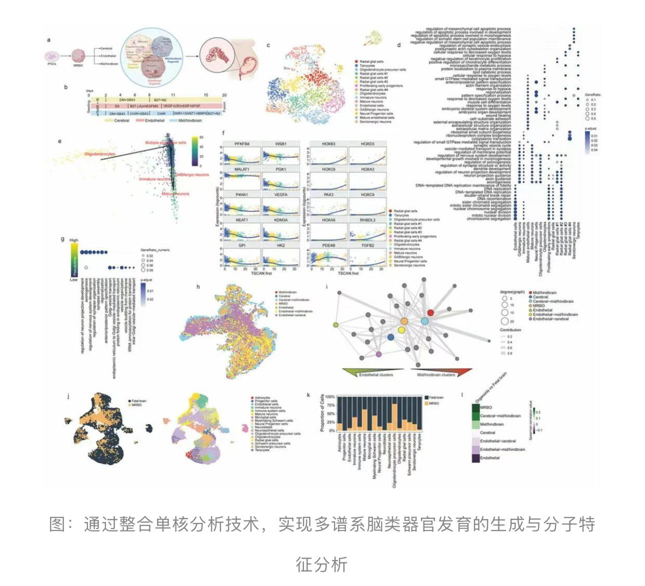 1754533791829704.jpg 1754533791829704.jpg