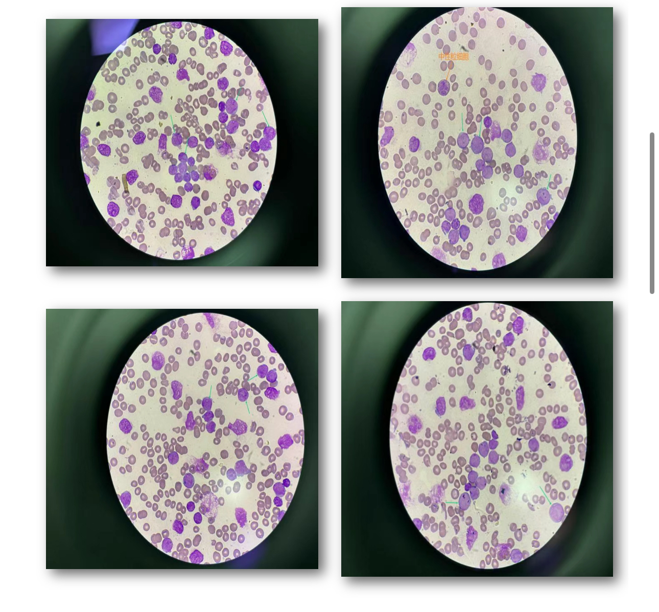 1754613787690486.jpg 1754613787690486.jpg