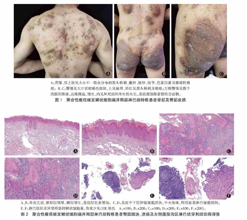 1755675935605813.jpg 1755675935605813.jpg