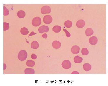 副高成绩68.JPG
