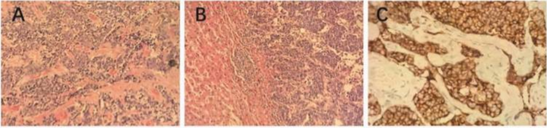 1756255242772395.png DM_20250827083125_005.png