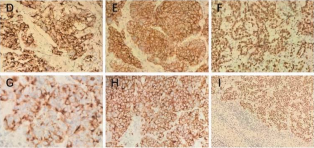 1756255256544170.png DM_20250827083125_006.png