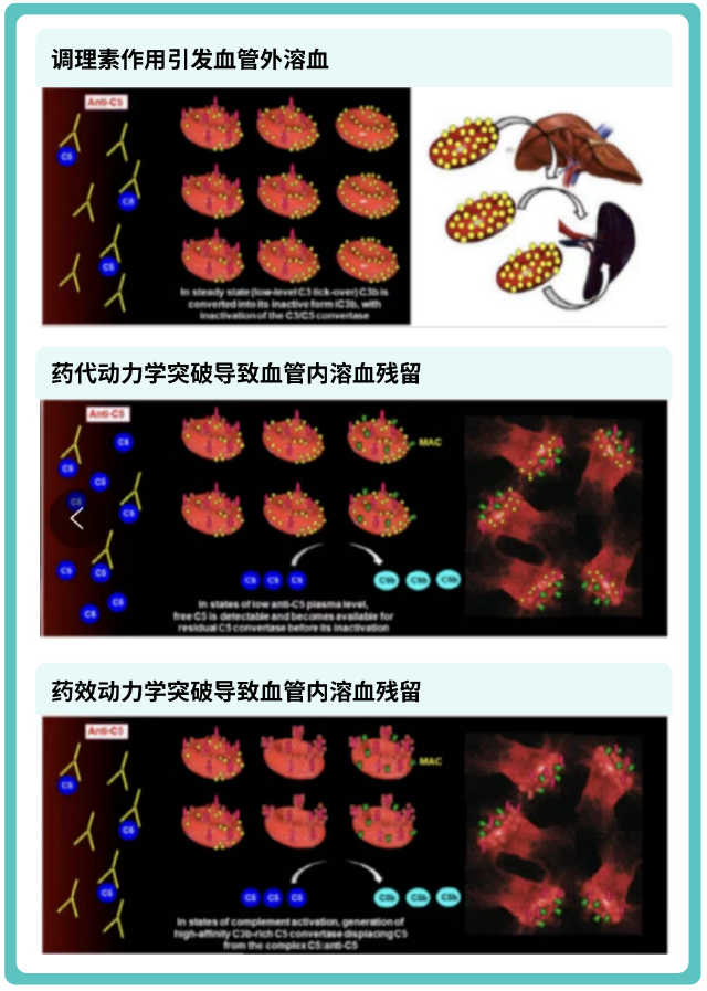 1756261439605727.png 1.png