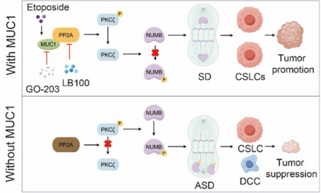 1756433432202530.png DM_20250829100802_001.png