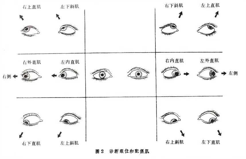 1756947003487594.jpg