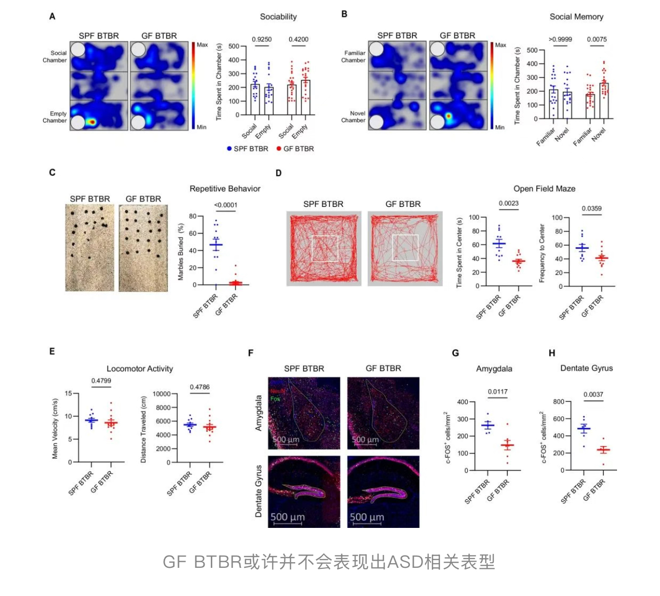 1757037305128226.jpg 1757037305128226.jpg