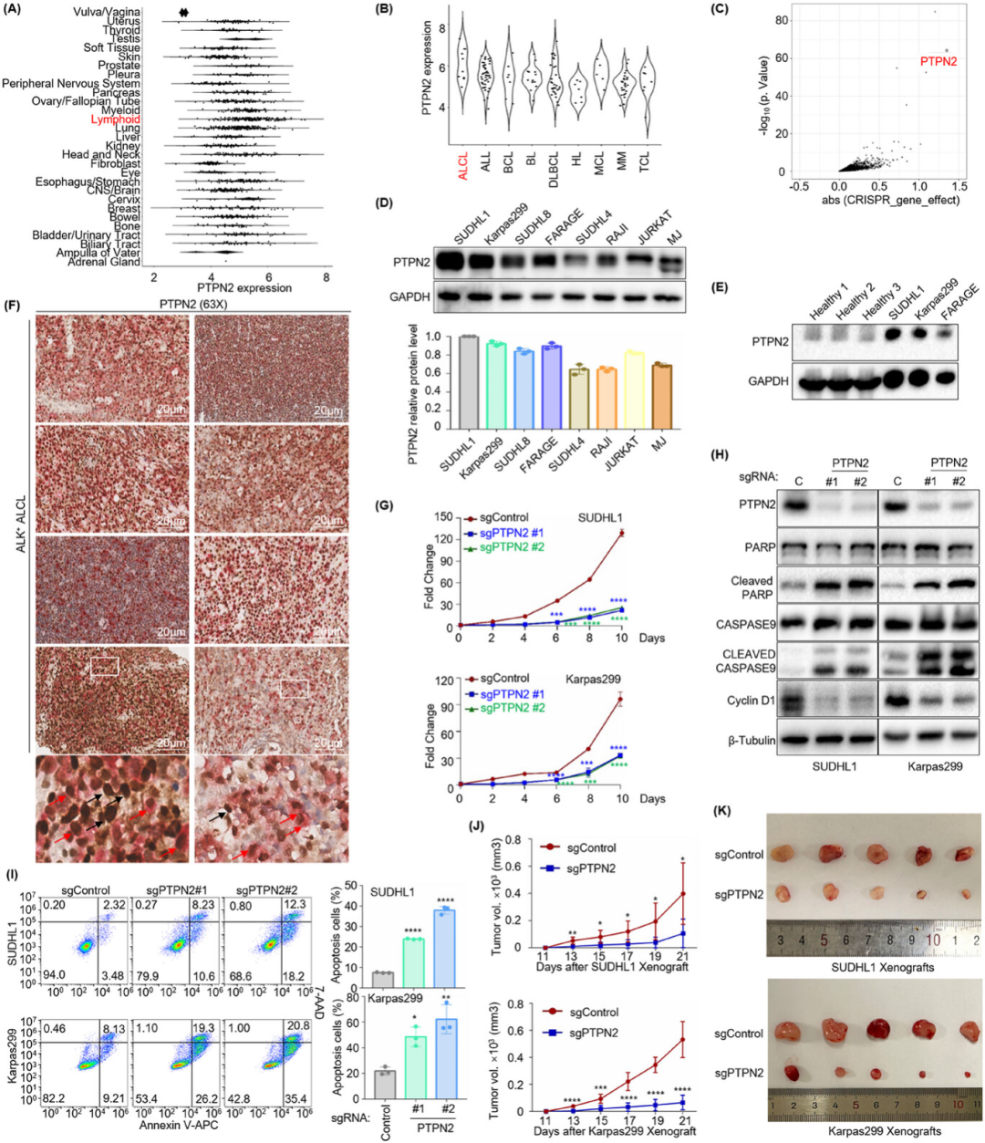 1757040749596428.png 298c15bd3be815a227b43974d5fe1765.png