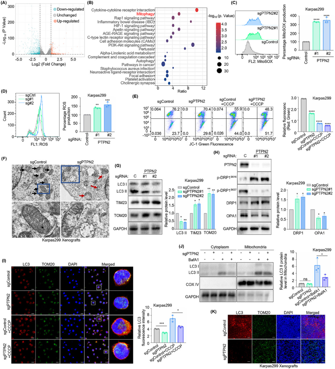 1757041314847227.png dd028ffb5469cc1a578ac989c905cbd1.png