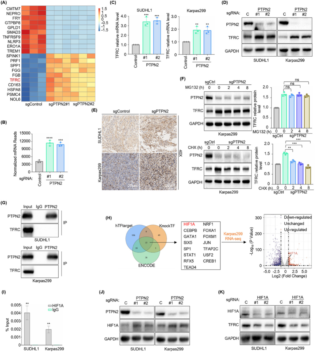 1757041389510201.png 7520f535a01b00e0bcebc762d95bf185.png