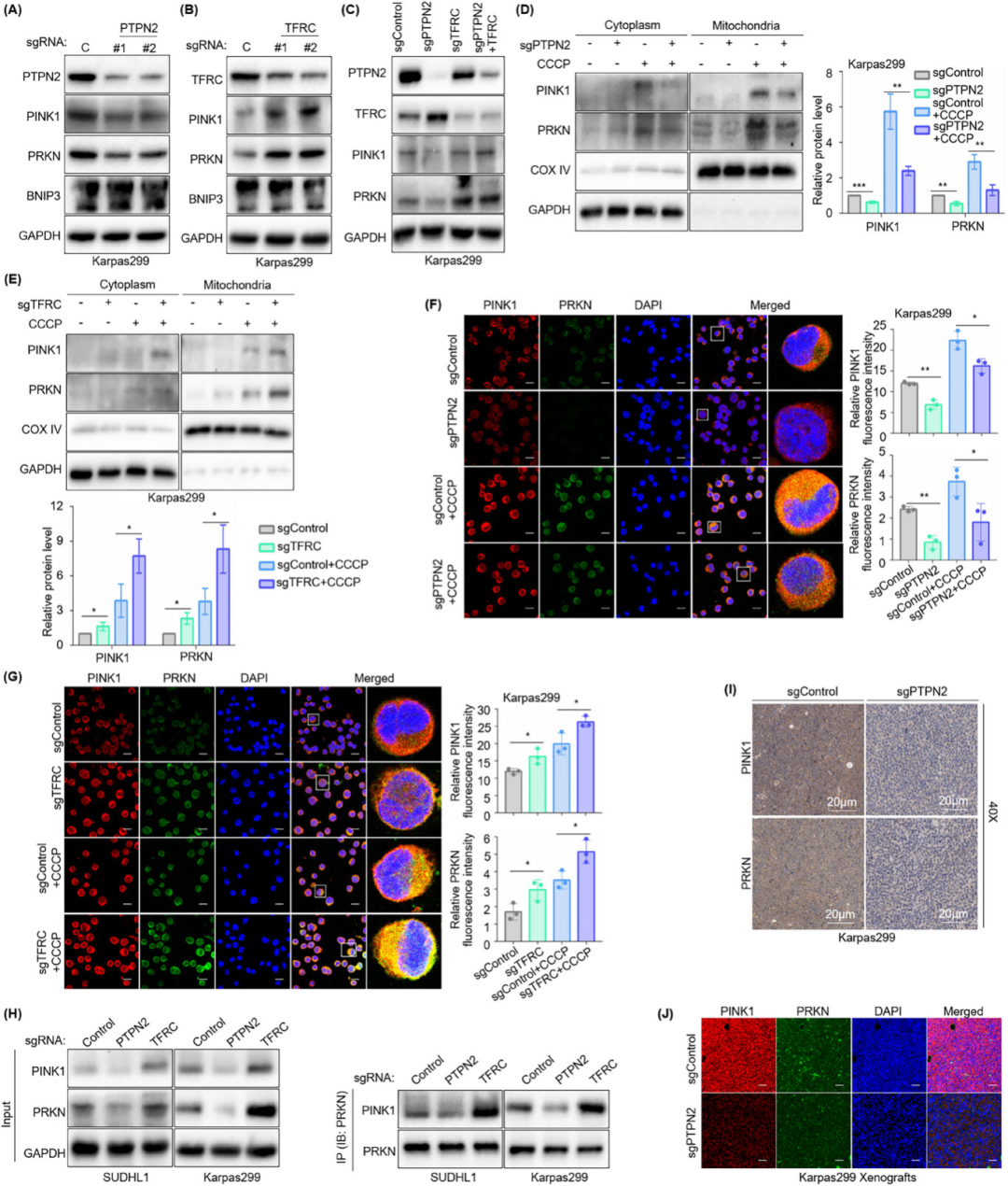 1757041448163994.png f8d3380935fb9676ada4e6e19003f422.png