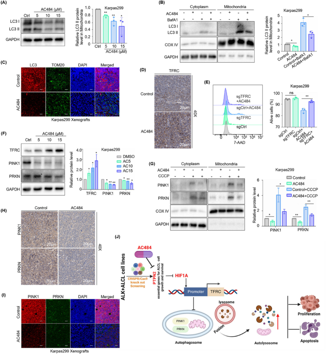 1757041559391114.png 3f3fb4208116541707696e6f153e9aaf.png