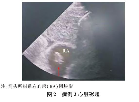 1759134344787995.jpg 1759134344787995.jpg