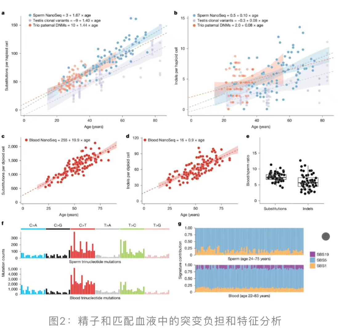 1760403325499669.jpg 1760403325499669.jpg