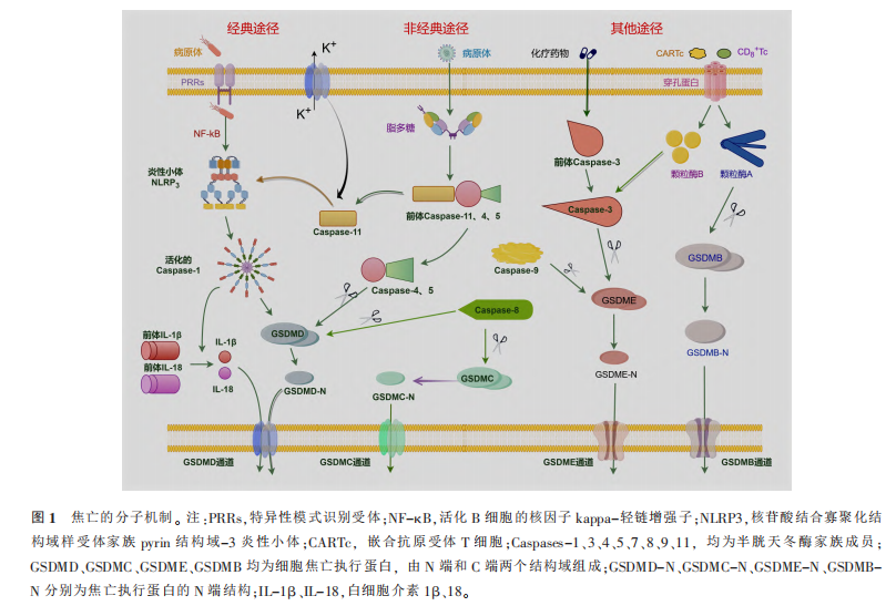1760583292324303.png 图1.png