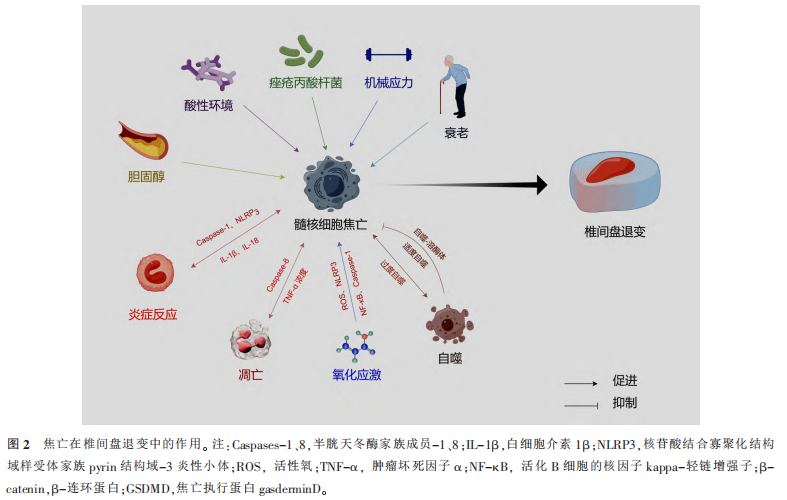 1760583321759991.png 图2.png