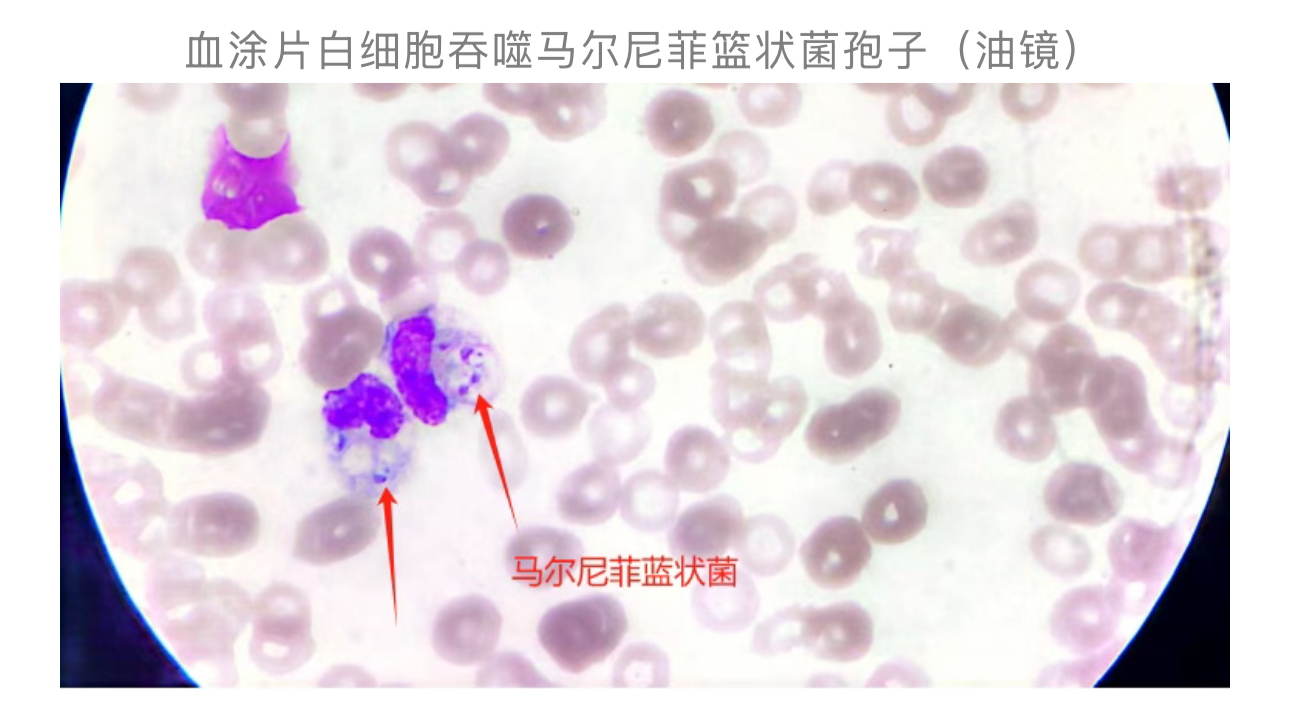 1761014655892354.jpg 1761014655892354.jpg