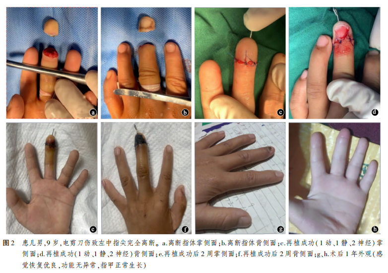 1761025427338767.png 图2.png