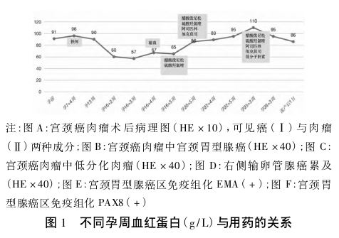 1762397610456087.jpg 1762397610456087.jpg