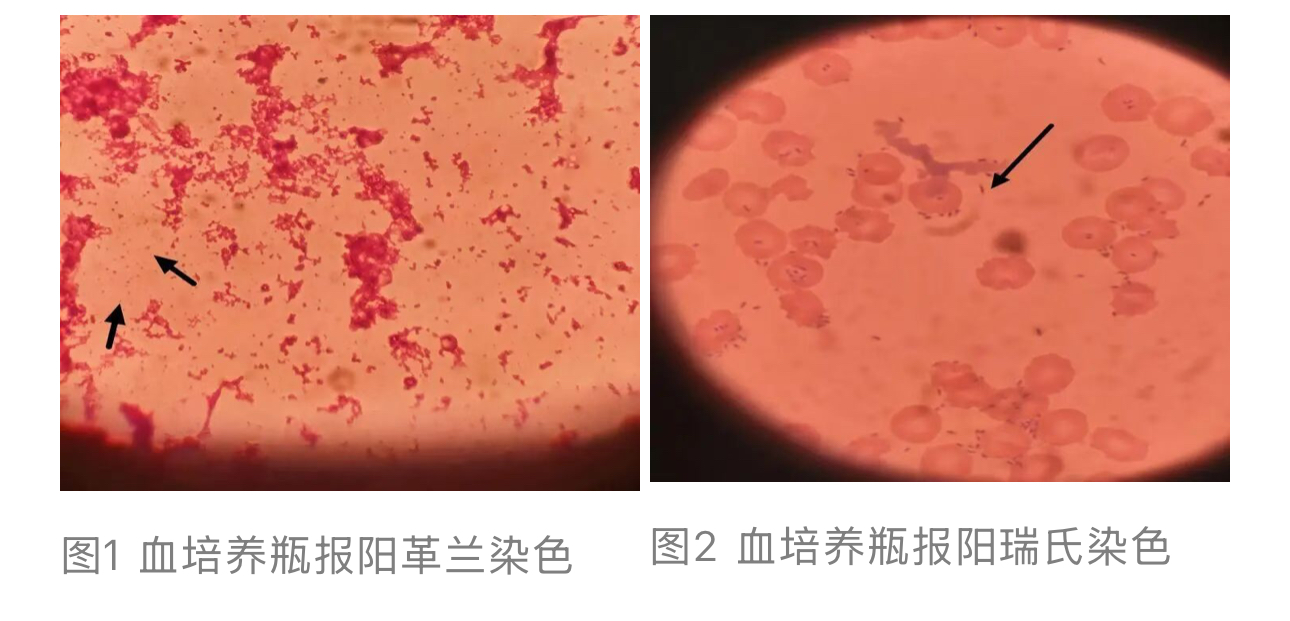 1762992671850613.jpg 1762992671850613.jpg